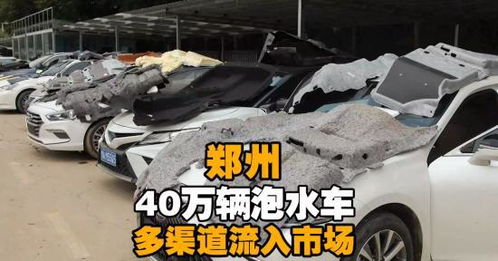 河南有多少汽车泡水