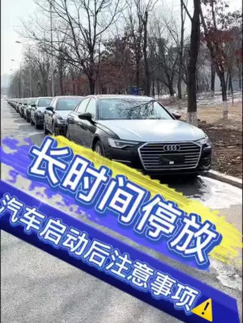 汽车最长停多少天 汽车最长停多少天