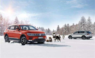 汽车排放 l是多少 汽车排放 l是多少