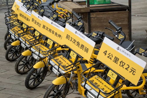 松果汽车多少钱 松果汽车多少钱