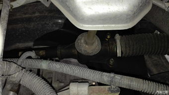 汽车油封有多少款