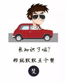 汽车距离多少不准停车