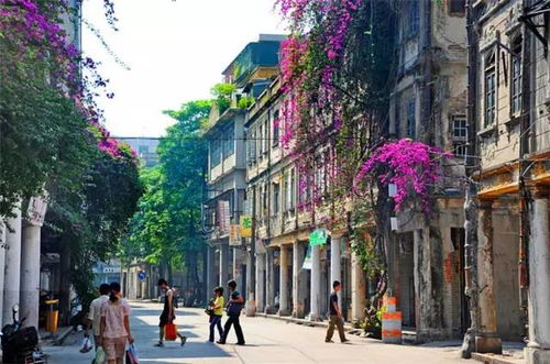 老城汽车过海费用多少