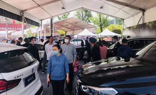 购置汽车政府补贴多少