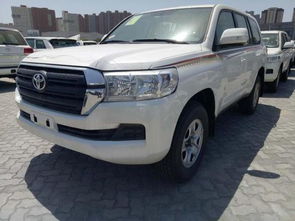 风致汽车价格多少 风致汽车价格多少