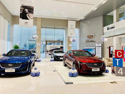 法国汽车补贴消费多少 法国汽车补贴消费多少