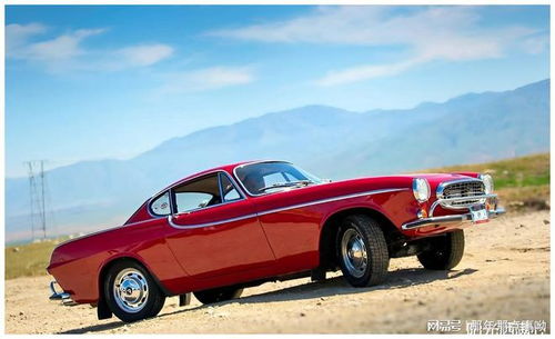 长寿汽车限速多少公里 长寿汽车限速多少公里