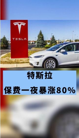 特斯拉汽车保险多少