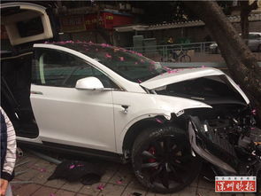 汽车撞树赔多少