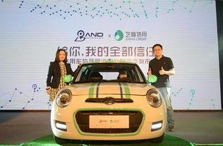 盼达汽车多少车 盼达汽车多少车