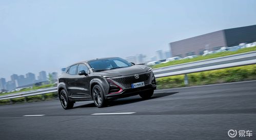 汽车哪里看多少t