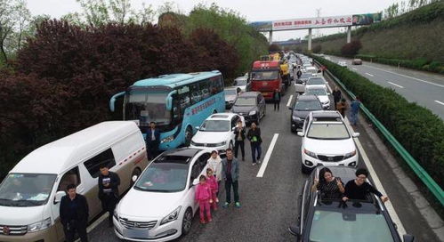 买汽车排量多少合适 买汽车排量多少合适