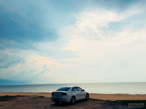 大海里有多少汽车