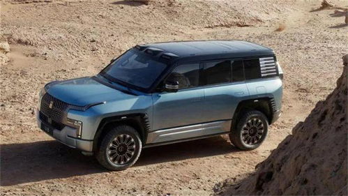 仰望汽车卖了多少辆车