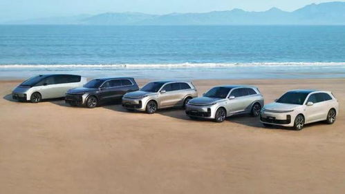 理想汽车掉了多少粉