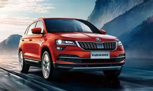 汽车雪种标准多少克 汽车雪种标准多少克