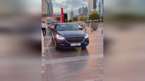 迪拜买了多少红旗汽车