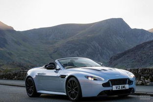 大卫汽车多少钱