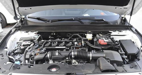 汽车投放比例多少合适