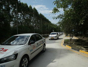 乐山汽车陪练价格多少