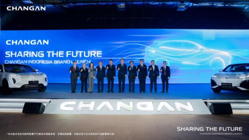 印尼汽车收税多少了