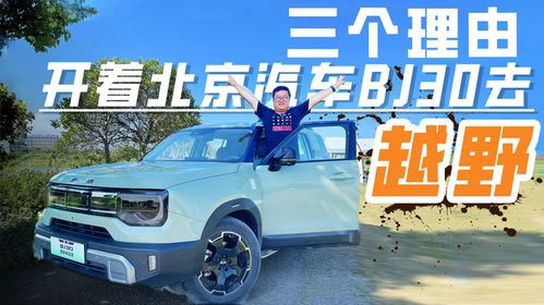 北京汽车用多少油