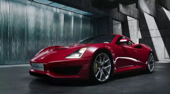 赛麟汽车多少元