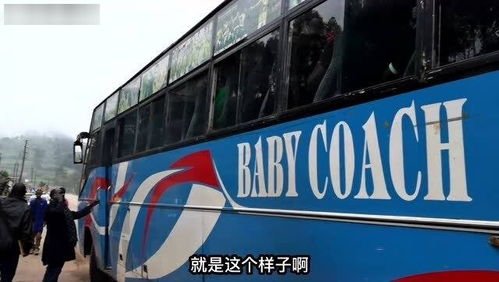 香港限制汽车数量多少