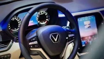 越南汽车限量多少台