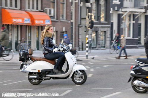 城里面汽车限速多少