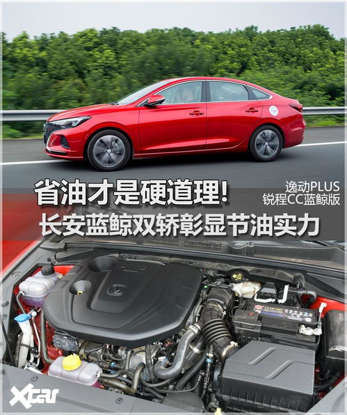 蓝鲸汽车实测油耗多少