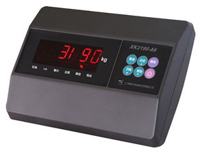 汽车称重精度是多少