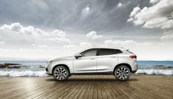 汽车自主品牌还剩多少