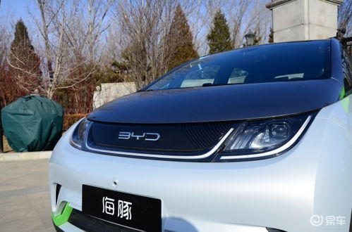 比亚迪汽车海豚里程多少