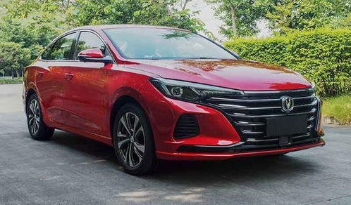 汽车普通多少钱