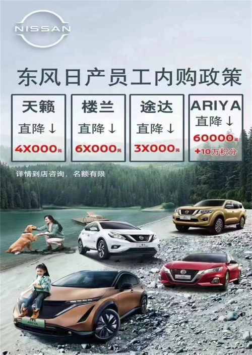 湖北东方汽车降价多少