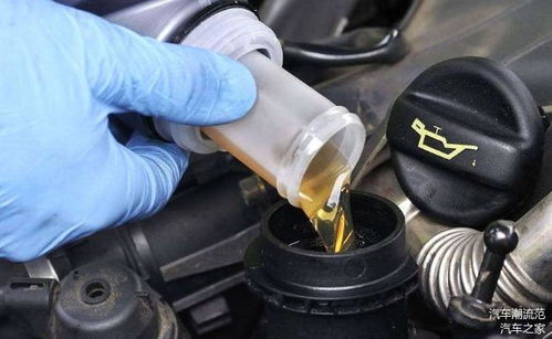 如何看清汽车机油多少