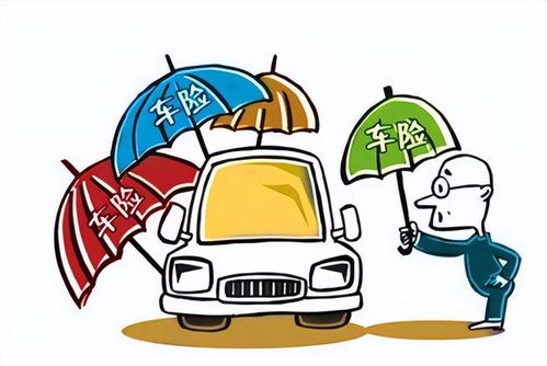 汽车损失多少报保险