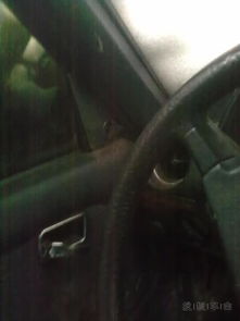 汽车妮子多少钱