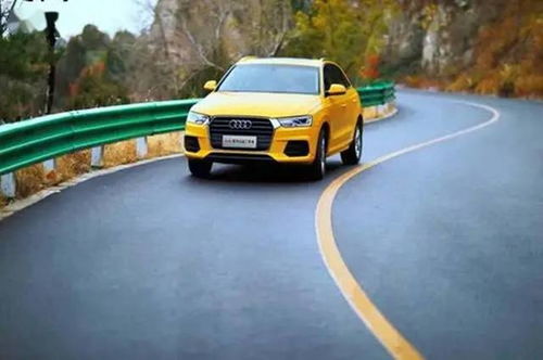 汽车履约险交多少