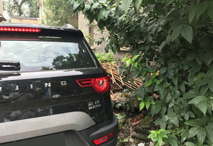 村庄里汽车限速多少