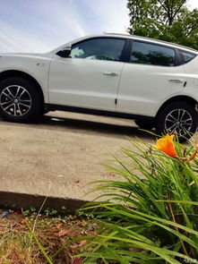 男孩汽车多少个