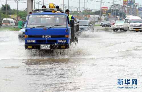 河北水灾汽车补贴多少