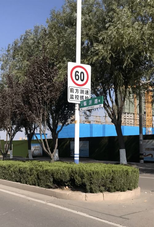 聊城汽车都限速多少