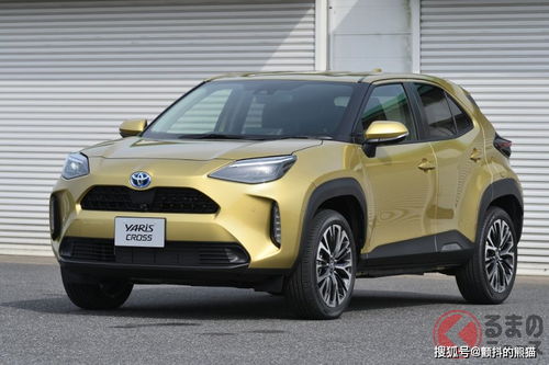 汽车 最低油量多少升