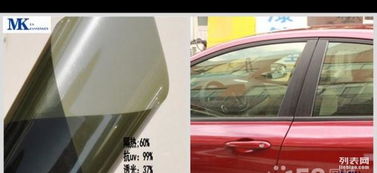 汽车膜工厂造价多少