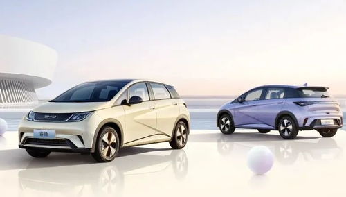 比亚迪汽车海豚能耗多少