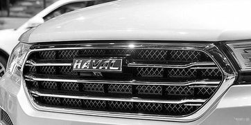 长城汽车跌了多少