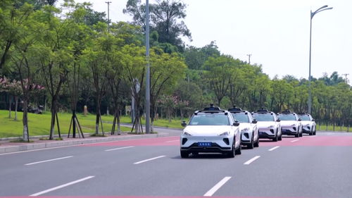 重庆到杏林汽车多少