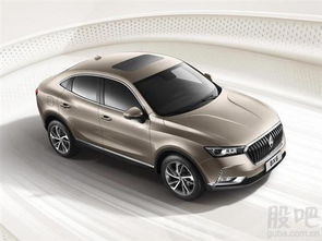 汽车vn码有多少